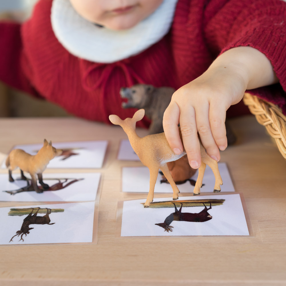 Druckvorlage Tiere zuordnen • Spielidee für Kinder zur Sprachentwicklung • Spielerisch lernen ✓ Jetzt Abo lösen & Spielidee downloaden