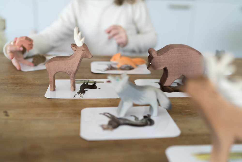 Tiere zuordnen Montessori DIY mit Ostheimer Tieren // Chez Mama Poule
