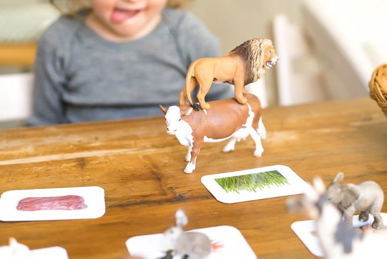 Druckvorlage Was Tiere fressen • Spielidee für Kinder • nach Montessori ✓ Jetzt Abo lösen & Druckvorlage downloaden