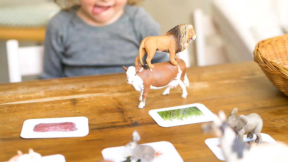 Druckvorlage Was Tiere fressen • Spielidee für Kinder • nach Montessori ✓ Jetzt Abo lösen & Druckvorlage downloaden