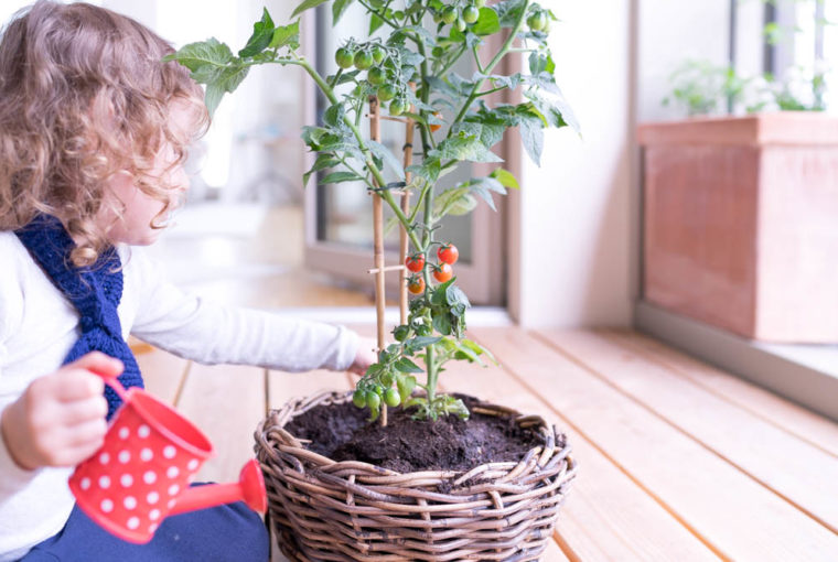 Gärtnern mit Kindern: Eine einfache Anleitung für Anfänger, so gelingt euer erstser Bio-Balkon, Urban Farm oder Garten mit Kleinkindern