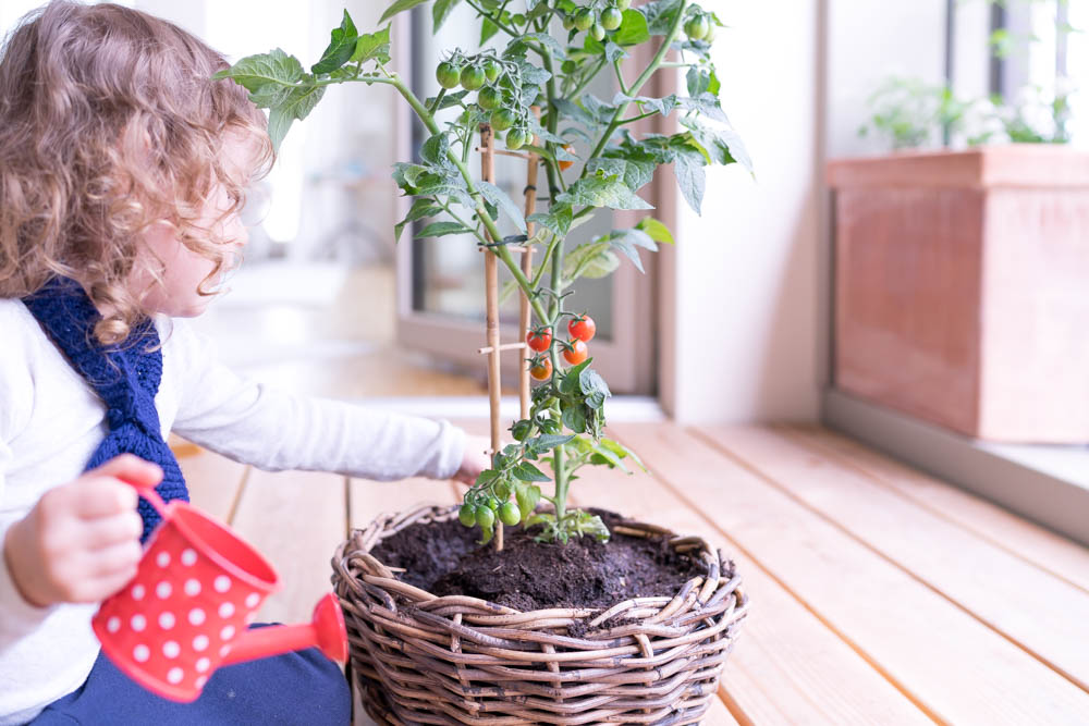 Gärtnern mit Kindern: Eine einfache Anleitung für Anfänger, so gelingt euer erstser Bio-Balkon, Urban Farm oder Garten mit Kleinkindern