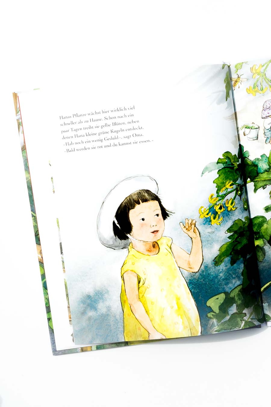 Das Tomatenfest von Satomi Ichikawa. Ein Blick ins Buch sowie eine Buchrezension auf dem Blog "Chez Mama Poule". Sommerbücher, Bilderbücher für Kinder, Bücher für Kita oder Kindergarten. Realistische Bilderbücher.