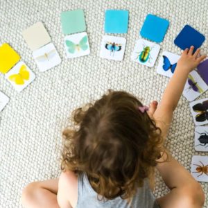 Druckvorlage Insekten Spiel • Spielidee für Kleinkinder • Puzzle • Memory • Lernen Farben zuordnen ✓ Jetzt Abo lösen & Druckvorlage downloaden