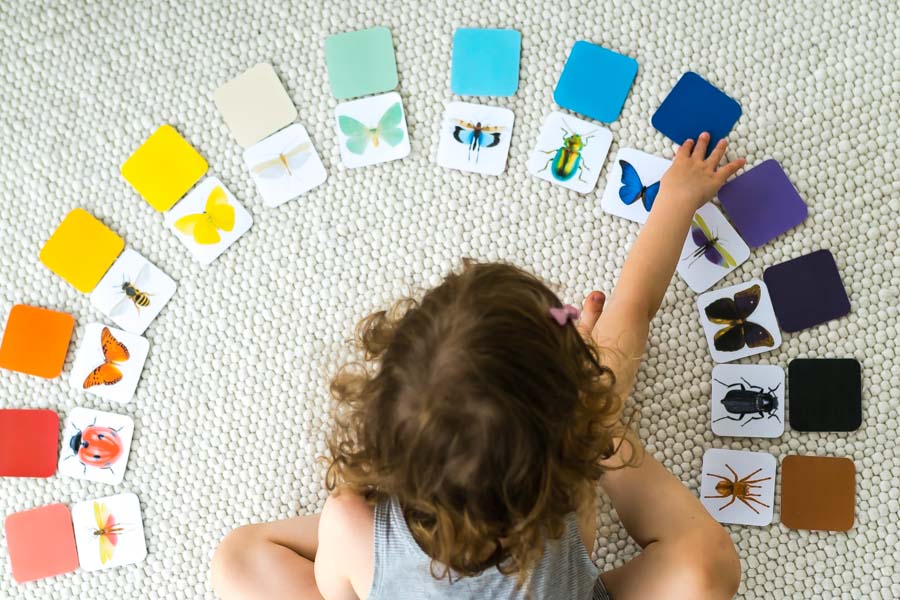Druckvorlage Insekten Spiel • Spielidee für Kleinkinder • Puzzle • Memory • Lernen Farben zuordnen ✓ Jetzt Abo lösen & Druckvorlage downloaden