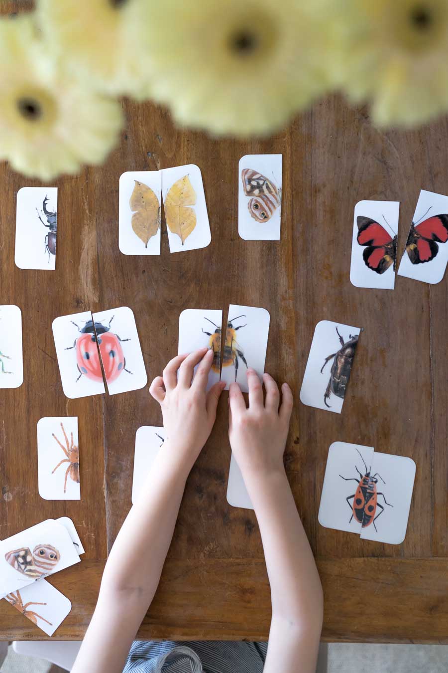 Druckvorlage Insekten Spiel • Spielidee für Kleinkinder • Insekten Puzzle • Zuordnen lernen ✓ Jetzt Abo lösen & Spielvorlage downloaden