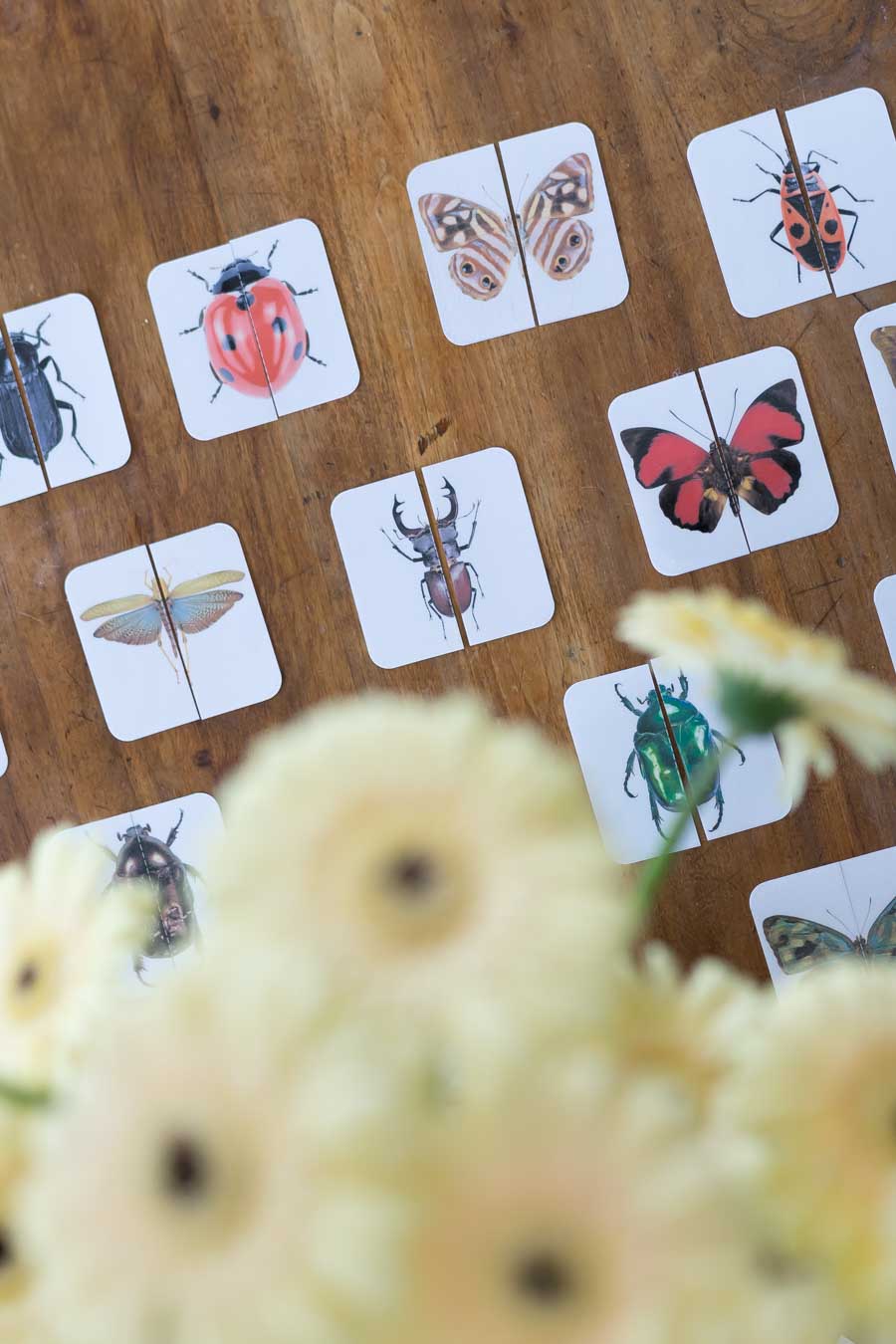 Druckvorlage Insekten Spiel • Spielidee für Kleinkinder • Insekten Puzzle • Spielerisch lernen ✓ Jetzt Abo lösen & Druckvorlage downloaden