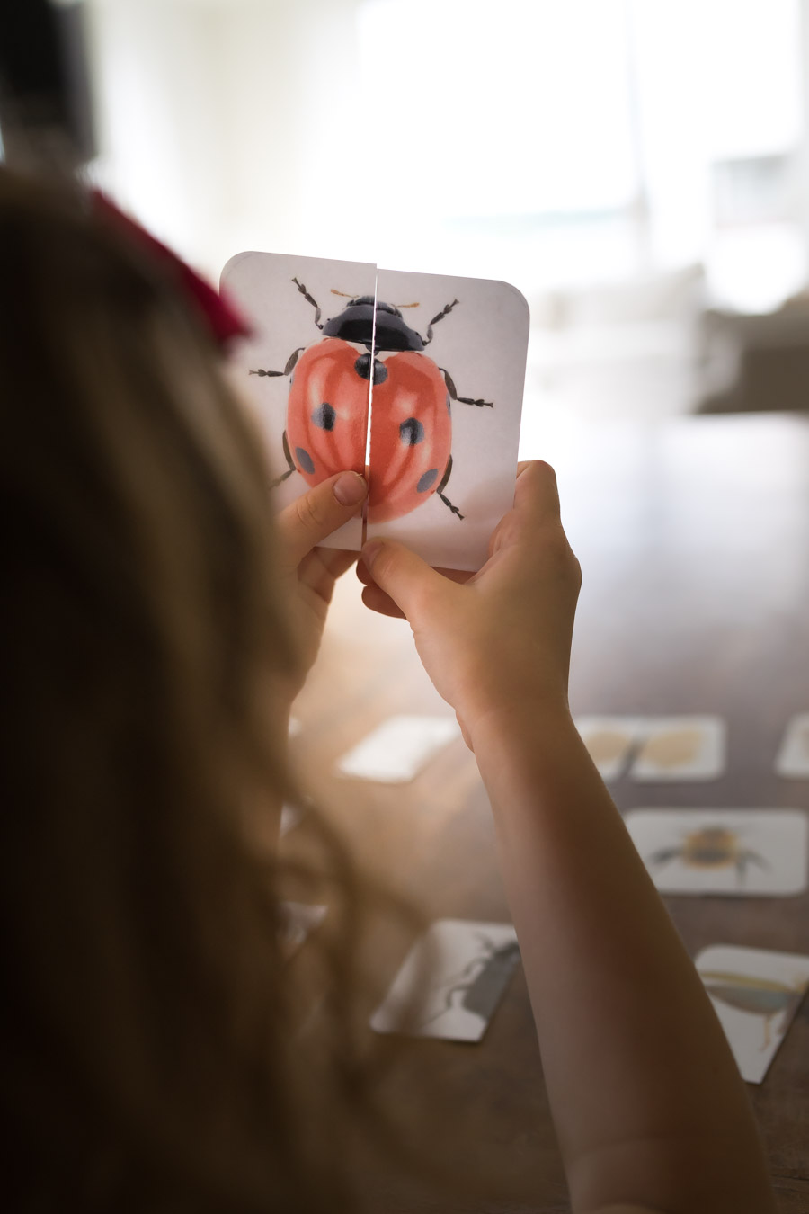 Druckvorlage Insekten Spiel • Spielidee für Kleinkinder • Insekten Puzzle • Zuordnen lernen ✓ Jetzt Abo lösen & Druckvorlage downloaden