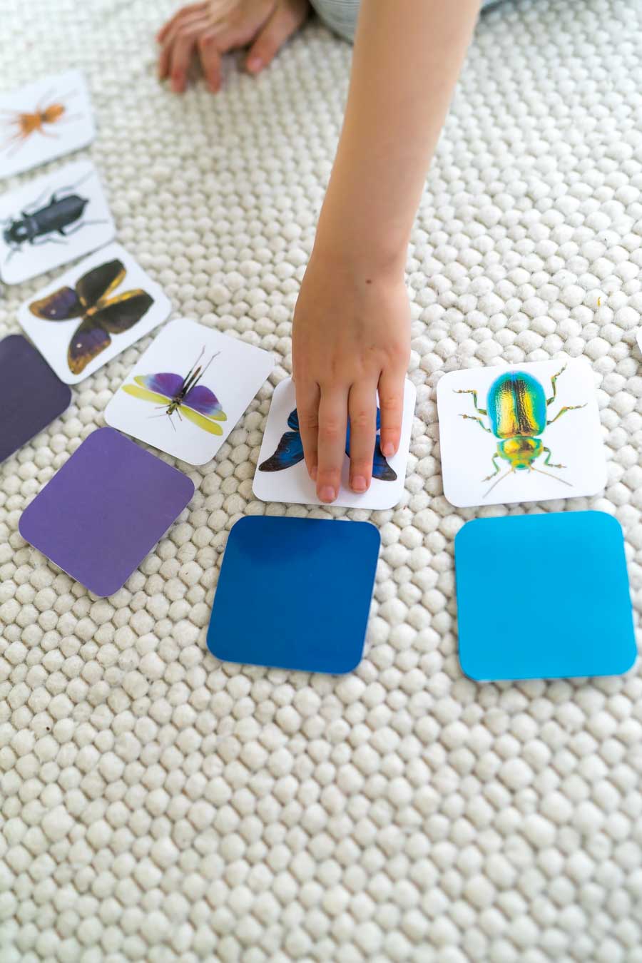Druckvorlage Insekten Spiel • Spielidee für Kleinkinder • Insekten ihren Farben zuordnen ✓ Jetzt Abo lösen & Spielvorlage downloaden