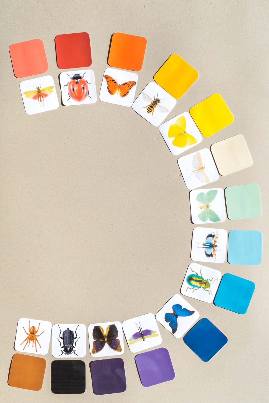 Druckvorlage Insekten Spiel • Spielidee für Kleinkinder • Insekten den Farbpaletten zuordnen ✓ Jetzt Abo lösen & Spielvorlage downloaden