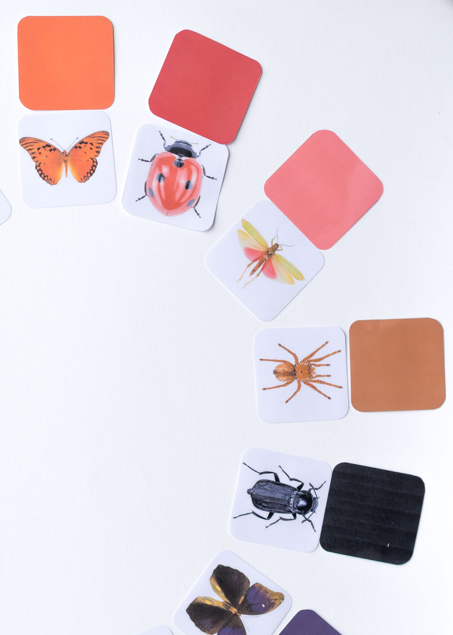 Druckvorlage Insekten Spiel • Spielidee für Kleinkinder • Insekten ihren Farben zuordnen ✓ Jetzt Abo lösen & Druckvorlage downloaden