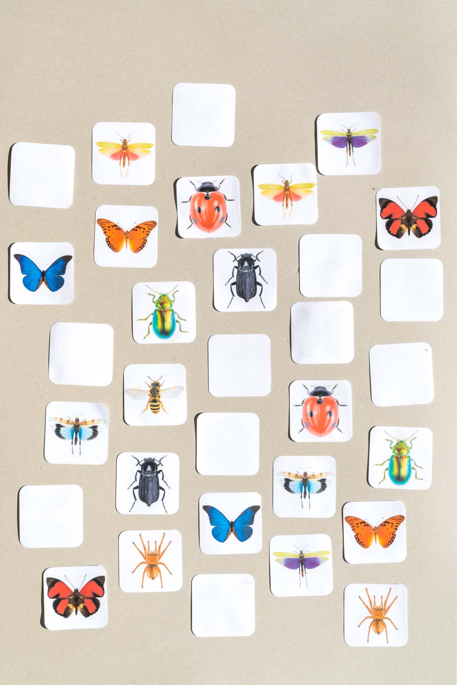 Druckvorlage Insekten Spiel • Spielidee für Kleinkinder • Insekten Memory • Zuordnen lernen ✓ Jetzt Abo lösen & Druckvorlage downloaden