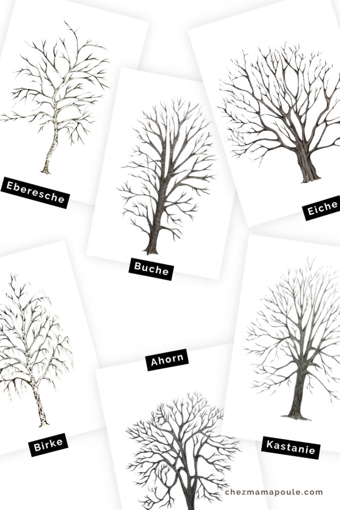 Bäume malen • Druckvorlage Baumstämme für Kinder zum Ausdrucken • DIY • Spielerisch lernen ✓ Jetzt Abo lösen & PDF downloaden