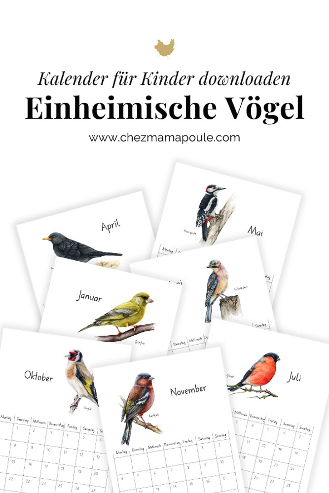 Einheimische Vögel Kalender für Kinder PDF Druckvorlagen chezmamapoule.com